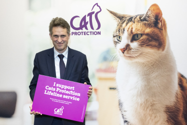 Sir Gavin Williamson attending a parliamentary event in support of Cats Protection