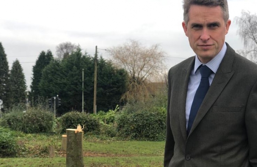 Gavin Williamson MP, standing my felled trees at the offices of South Staffordshire Council 