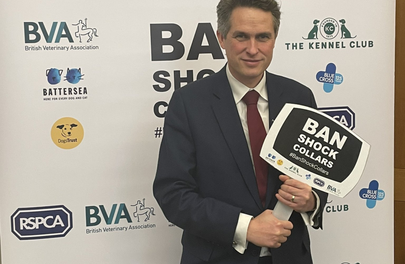 Sir Gavin Williamson attending a parliamentary event to take action against electric shock collars