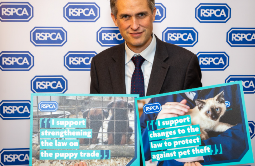 Sir Gavin Williamson attending a parliamentary event in support of the RSPCA campaign