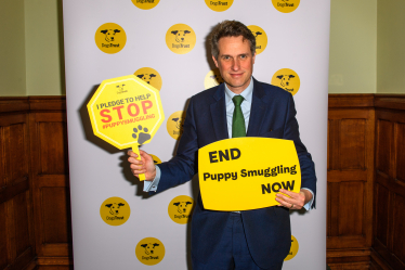 Sir Gavin Williamson joins Dogs Trust in Parliament 