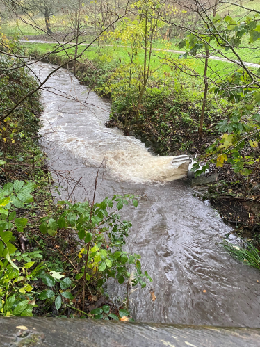 Discharges into the Wombrook